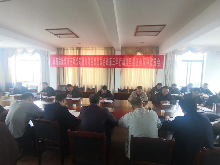 云南后所煤矿有限公司深刻进建贯彻云煤（亿万先生MR）集团国企鼎新三年行动攻坚推动会会议心灵