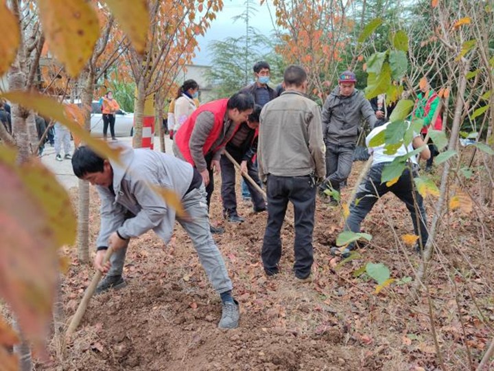 提升村落人居环境 共绘村落新画卷——集团驻村工作队与寿山村人民共建；ù舐