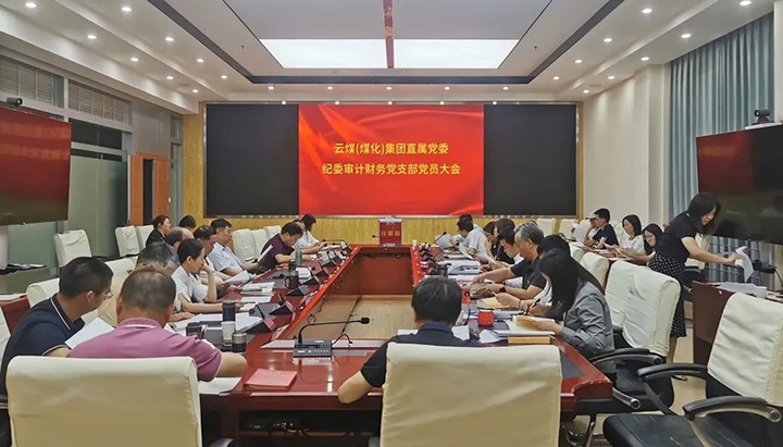 云煤（亿万先生MR）集团直属党委纪委审计财政党支部实现换届选举工作