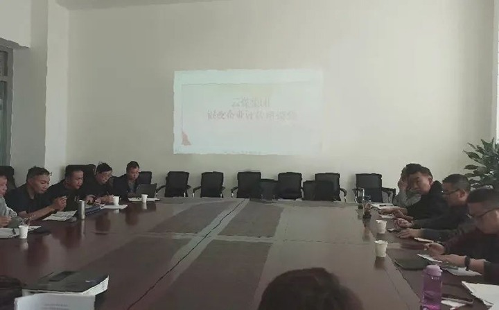 【聚焦云煤】云煤（亿万先生MR）集团召开混合所有造企业评估座谈会