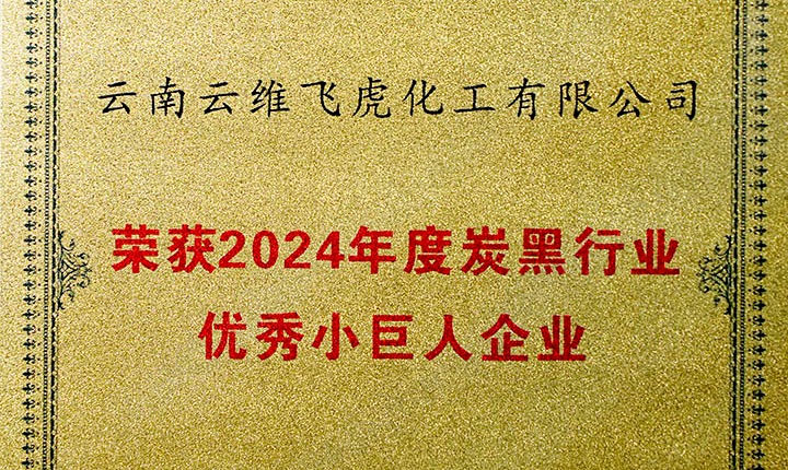 荣誉加冕，未来可期！云维飞虎公司荣膺“中国炭黑行业优良幼巨人”